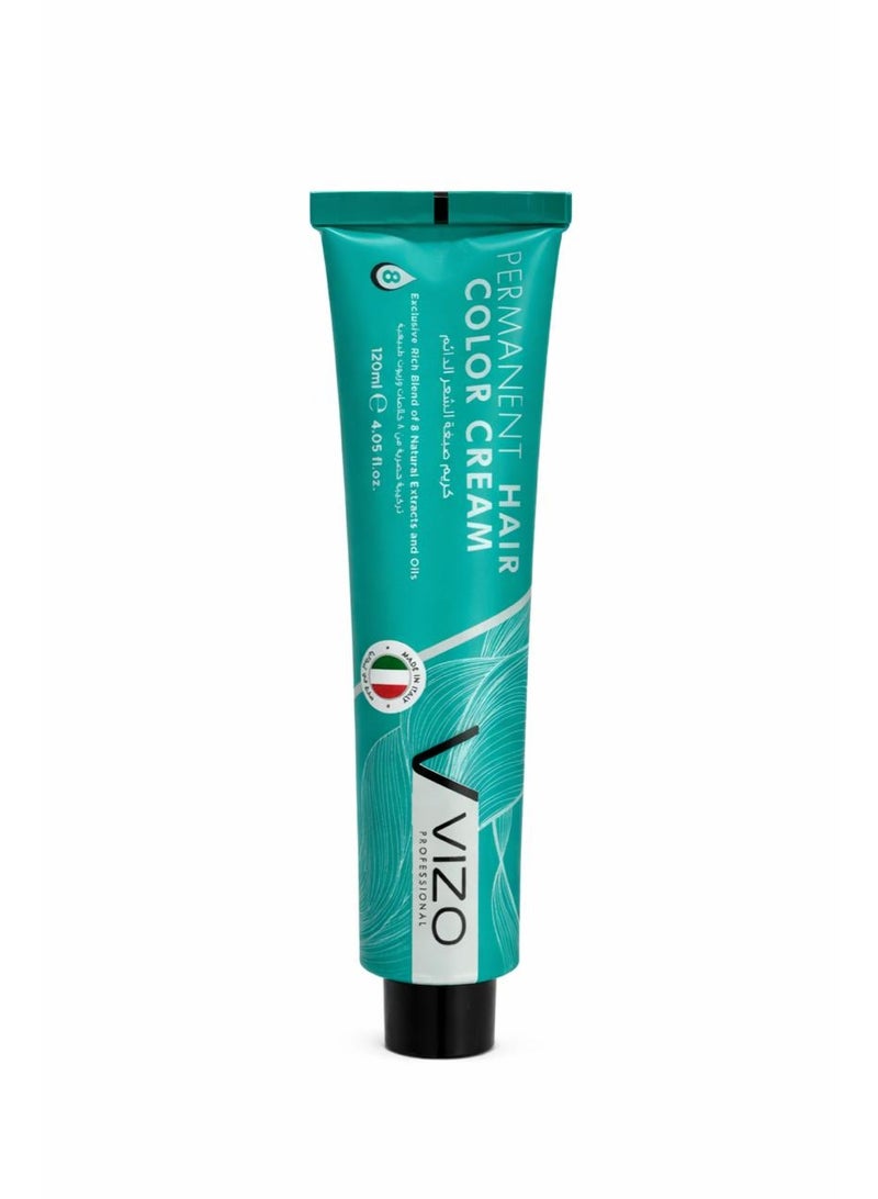 VIZO PROFESSIONAL vizio permanent hair color cream 10.1 platinum ash blond 120ML - Image 1